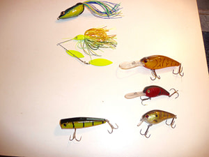 Summertime lures for bass